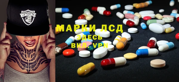 хмурый Алзамай