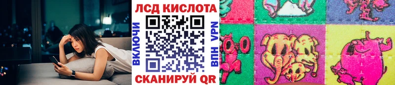 ссылка на мегу маркетплейс Камбарка Марки NBOMe 1,5мг
