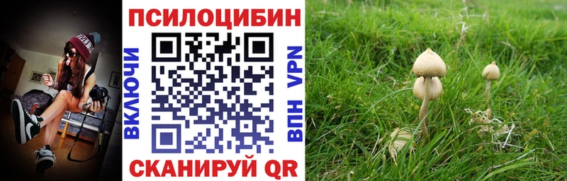 МЕГА ССЫЛКА  Камбарка  Галлюциногенные грибы Cubensis  где продают наркотики 